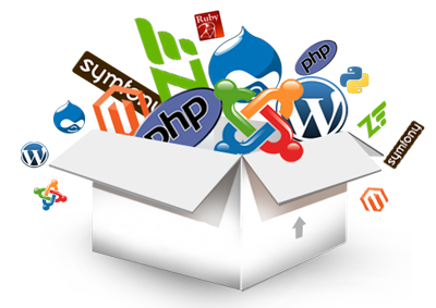 software development